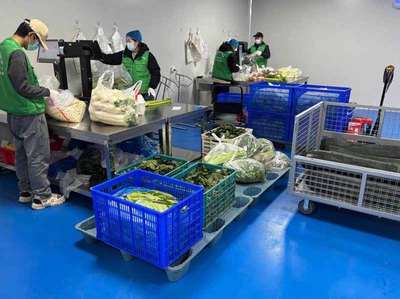 精选美食食材攻略：让你的餐桌焕然一新